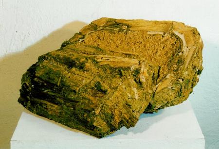Brötchen, zweiteilig, horizontal geschnitten, Totholz, Sägespäne, Pigmente, Leim, Wellpappe, 1997, ca. 60 x 40 x 40 cm (zweiteilig)