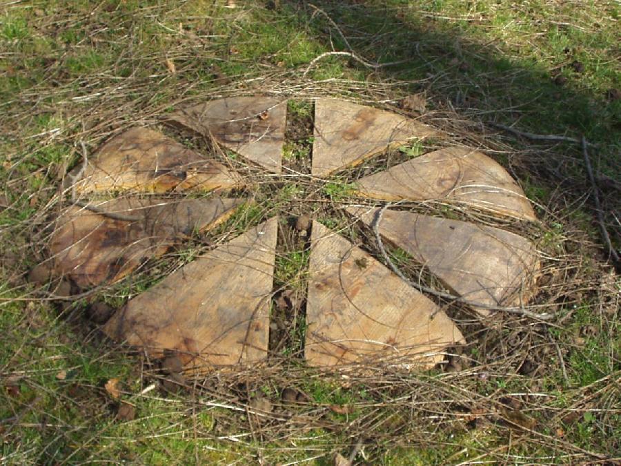 Kuchen, 8-teilig (Erdintarsie), Aufbau Kobern-Gondorf, 2003, Leimbinder, Lack, Erde, 2002, Durchmesser ca. 120 cm (8-teilig)