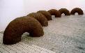 Sechs halbe Donuts, Nadelwaldboden, Jute, Pappe, Styrodur, Leim, 2000, jeweils ca. 160 x 80 x 60 cm