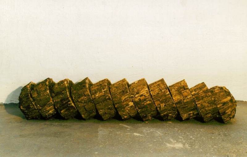 Baguette, 11-teilig, vertikal geschnitten, Totholz, Nadelwaldboden, Leim, Acryl, Wellpappe, 1999, 220 x 40 x 40 cm (11-teilig)